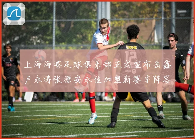 上海海港足球俱乐部正式宣布岳鑫卢永涛张源安永佳加盟新赛季阵容更新