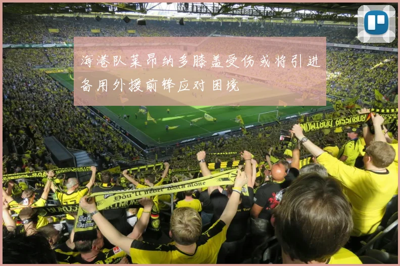 海港队莱昂纳多膝盖受伤或将引进备用外援前锋应对困境