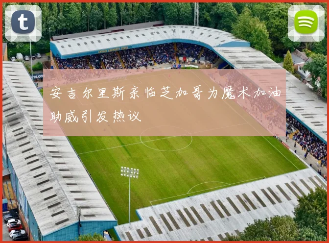 安吉尔里斯亲临芝加哥为魔术加油助威引发热议