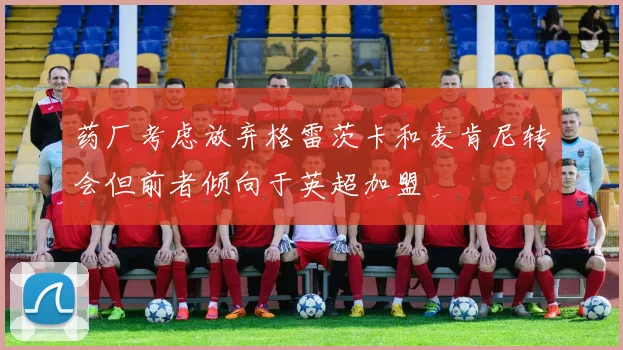 药厂考虑放弃格雷茨卡和麦肯尼转会但前者倾向于英超加盟