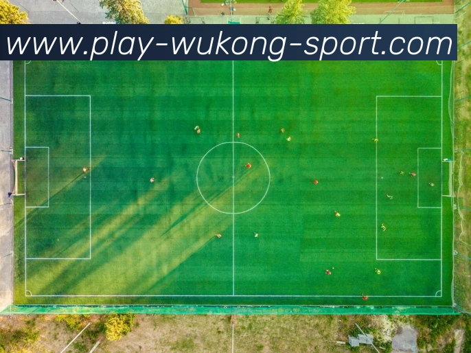 悟空体育服务体系